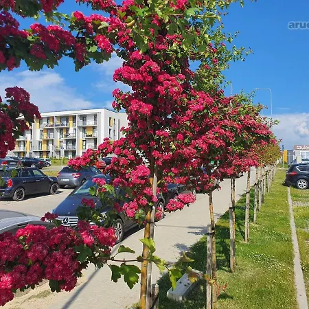 شقة New Free Parking كلابيدا